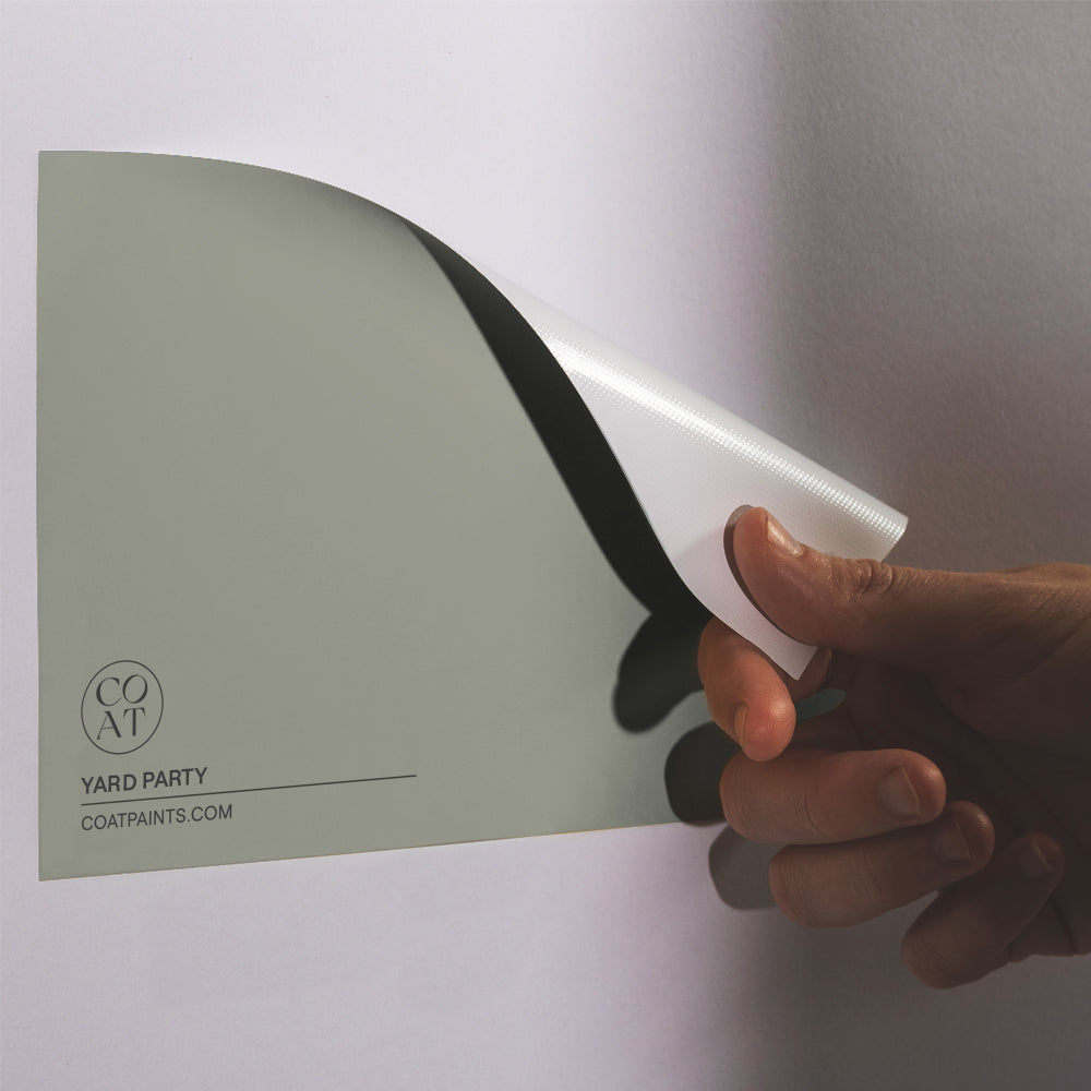 Hazy Grey Green Sample Sample called Yard Party Sample by COAT Paints the eco friendly paint company