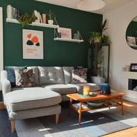 Timeless Dark Green Sample Sample called Ditch the Tie Sample by COAT Paints the eco friendly paint company
