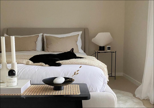 Bedroom Colour Ideas COAT Paints