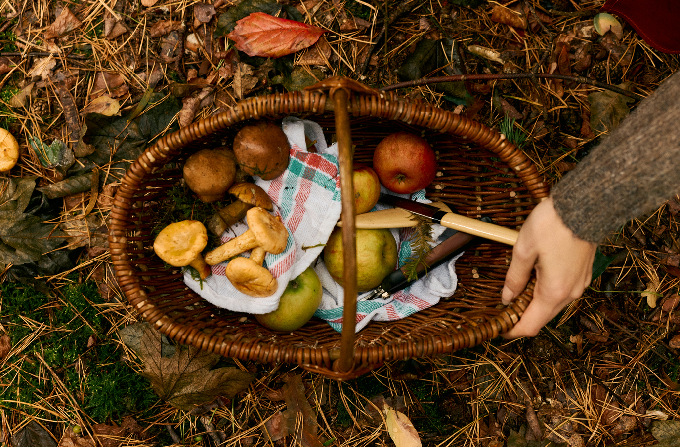 The Autumn Edit