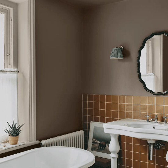 Brown Paint Colours