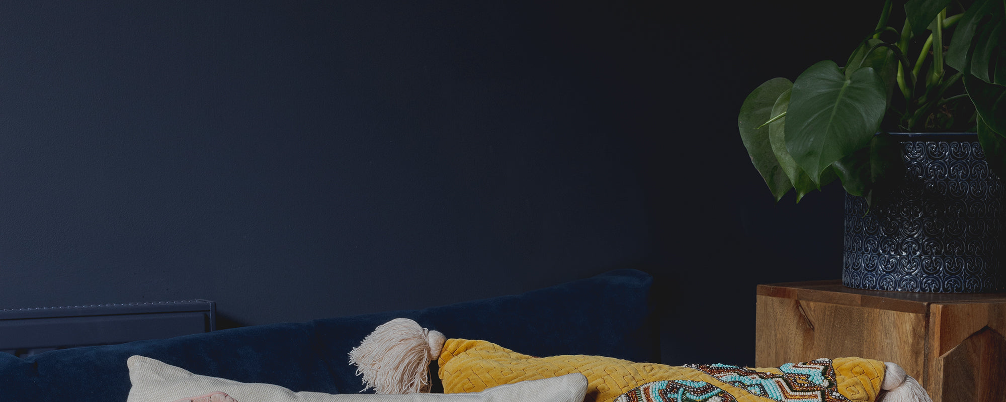 Dark Royal Blue paint called 2AM by COAT Paints the eco friendly paint company