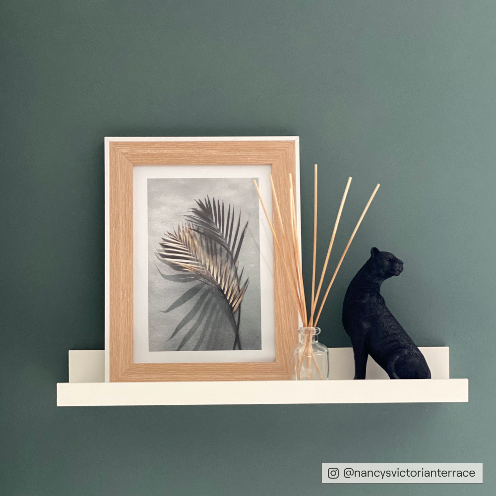 Dark Teal paint called Adulting by COAT Paints the eco friendly paint company