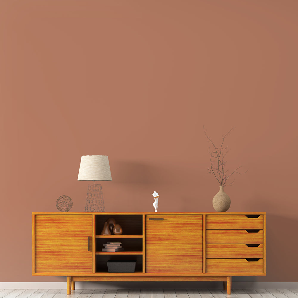 Soft Terracotta paint called Baked by COAT Paints the eco friendly paint company