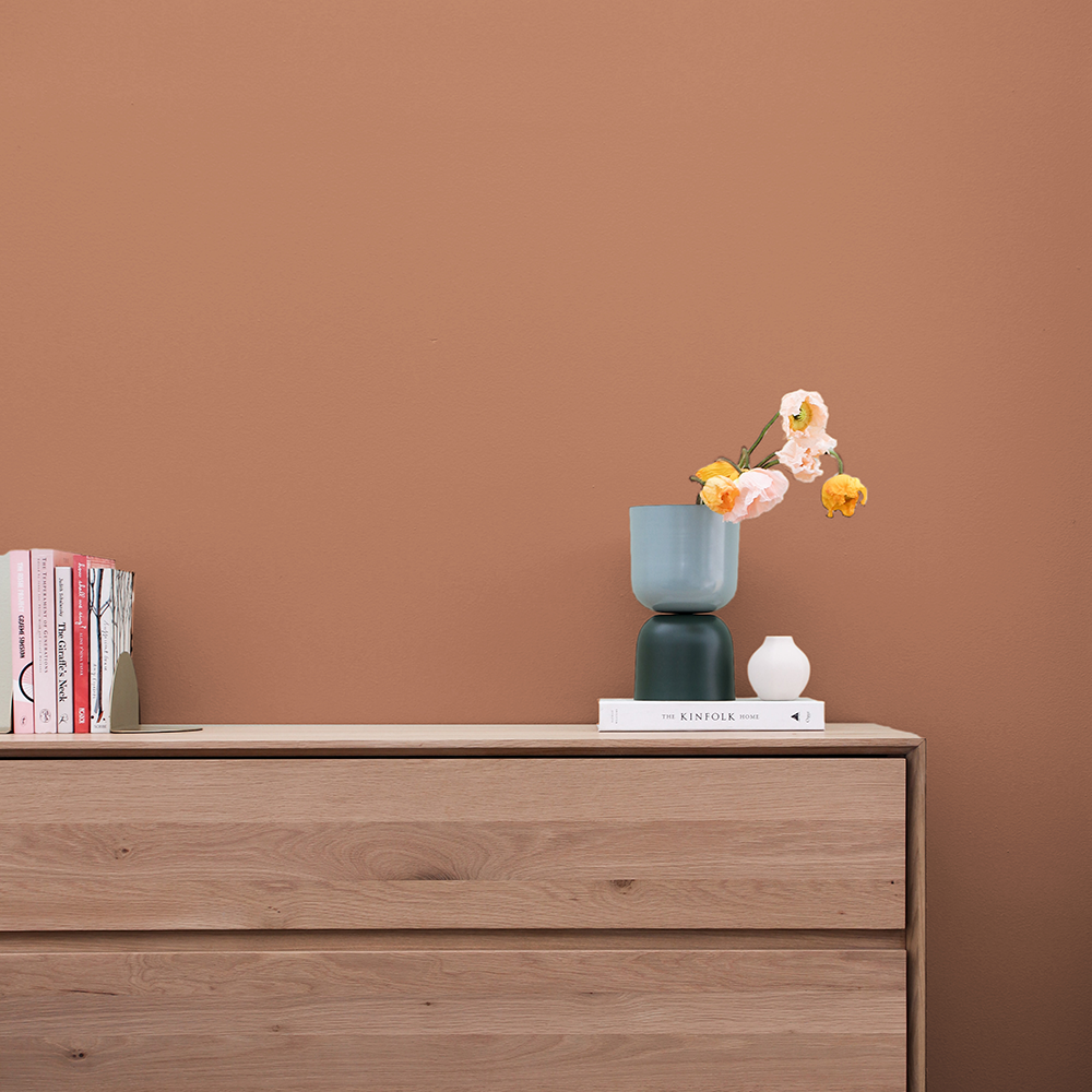 Soft Terracotta paint called Baked by COAT Paints the eco friendly paint company