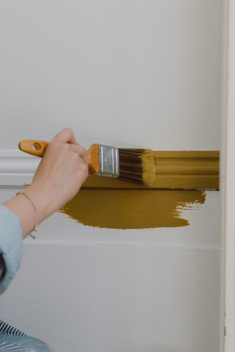 Interior Eggshell Paint | Wood & Metal Trim Paint | COAT Paints