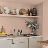 Buy Dry Plaster Pink Paint Factor Fifty Flat Matt Claypaint COAT buy-dry-plaster-pink-paint-factor-fifty-flat-matt-claypaint-coat