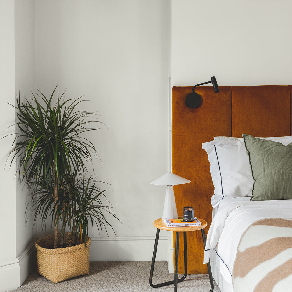 Buy Warm Grey Off-White Paint (Jojo's White) Eggshell – COAT Paints