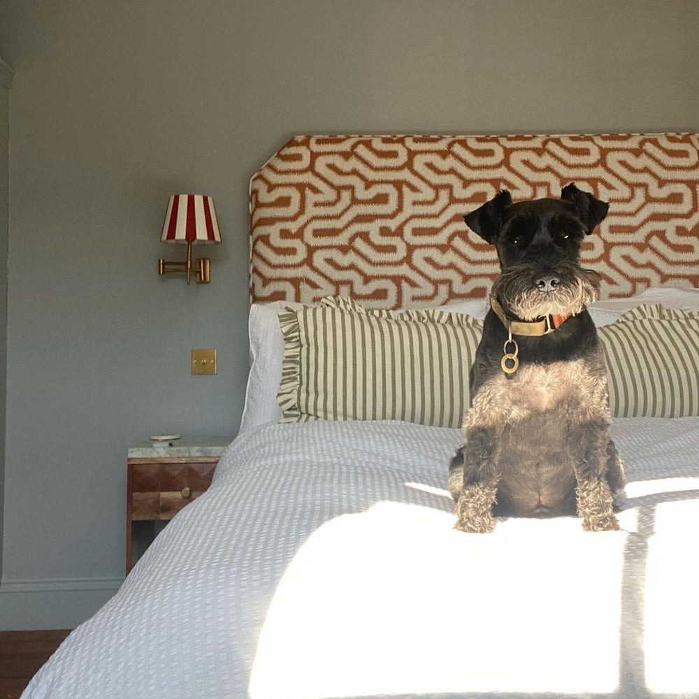 Bedroom in Lie-in, a soft grey-blue paint by COAT Paints, with schnauzer dog on bed