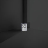 The Record Store Sample
