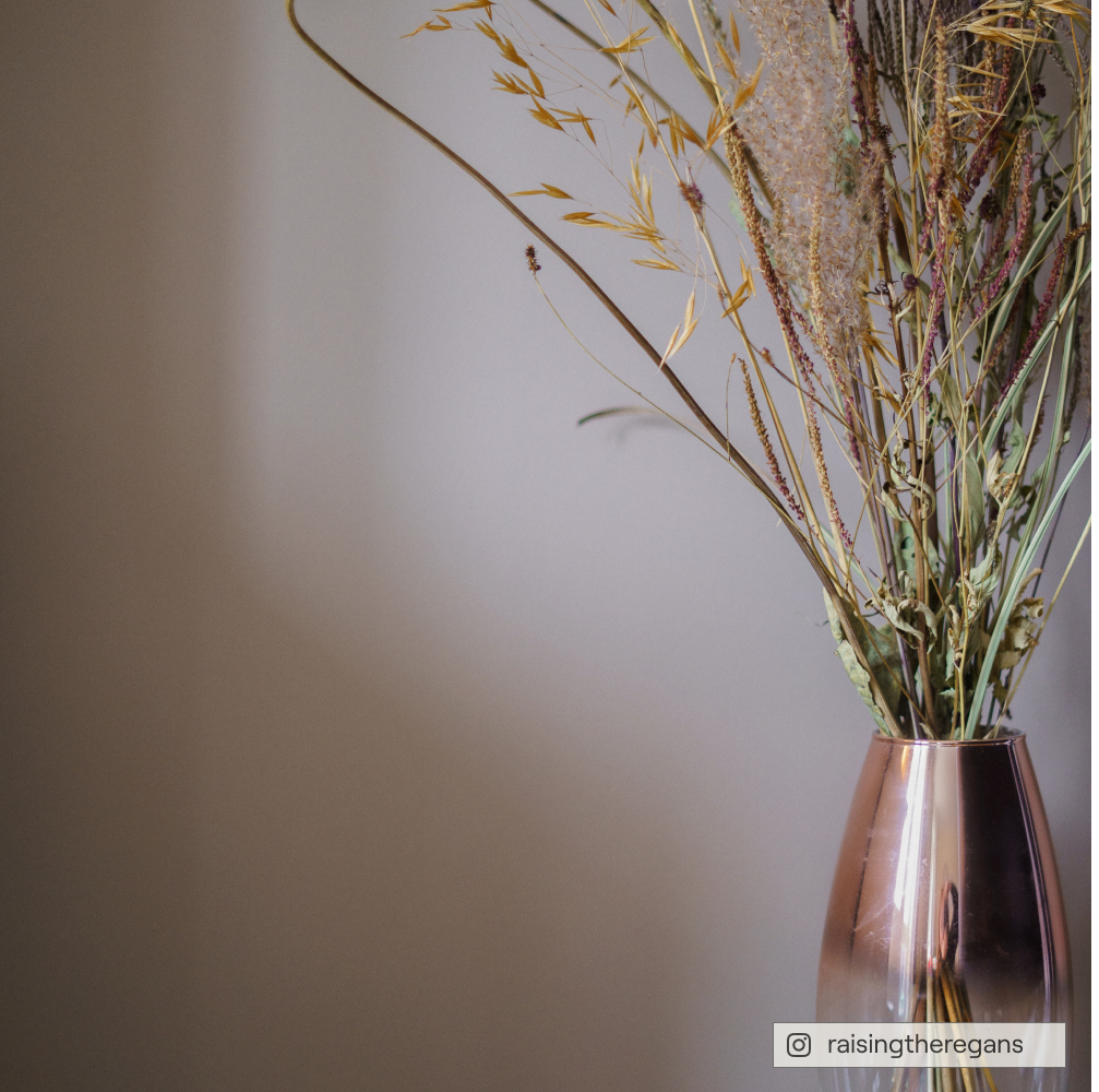Deep Taupe paint called Cold Brew by COAT Paints the eco friendly paint company