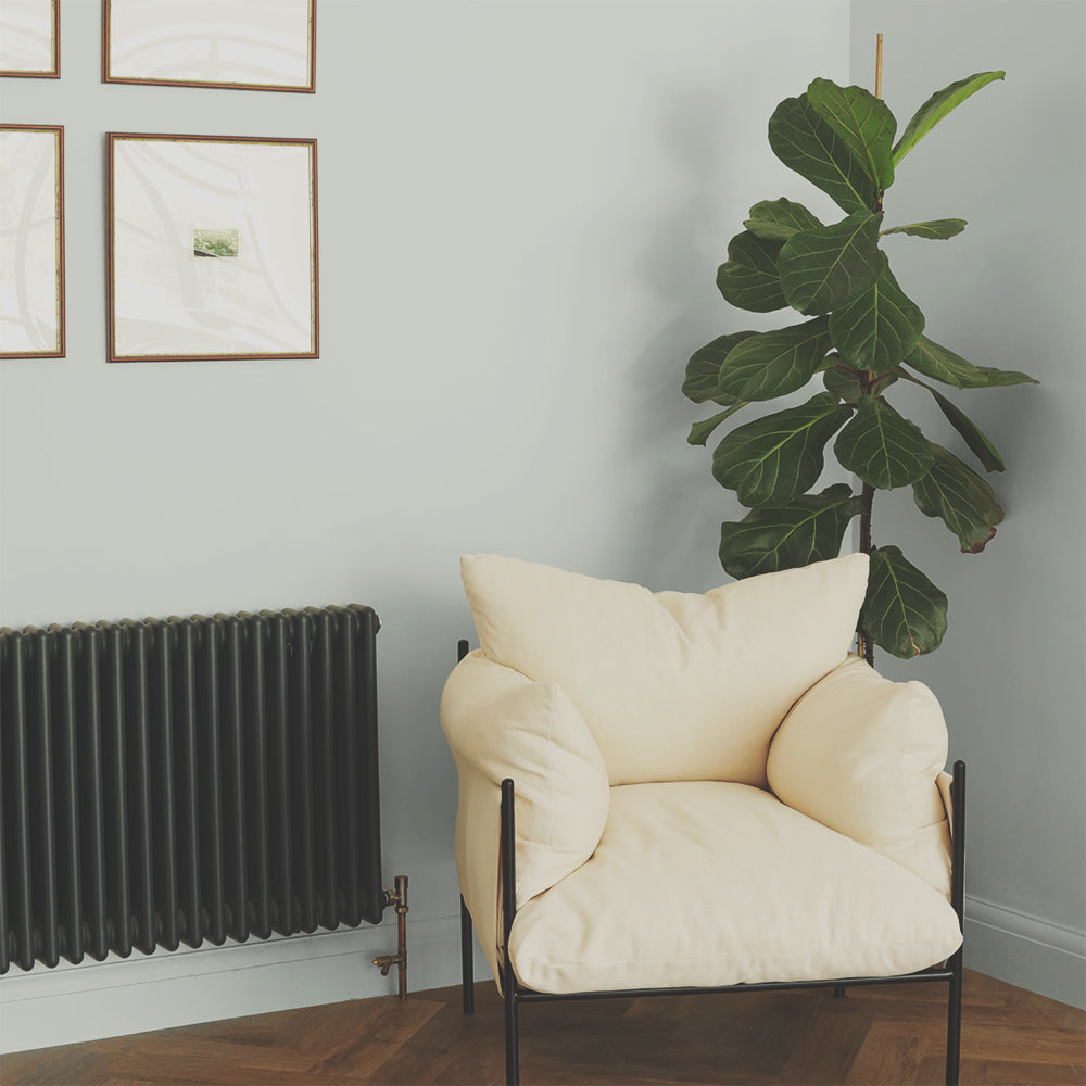 Clean Blue Green paint called Detox by COAT Paints the eco friendly paint company