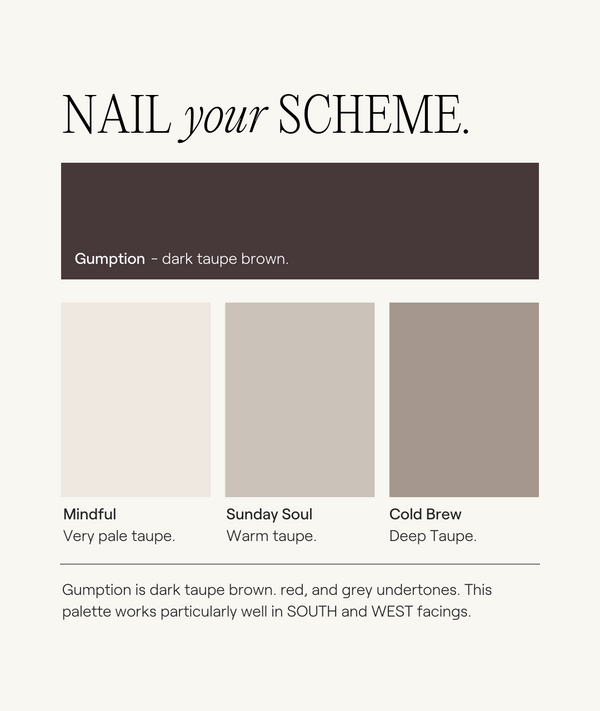 Buy Dark Taupe Brown Paint Flat Matt Gumption COAT Paints