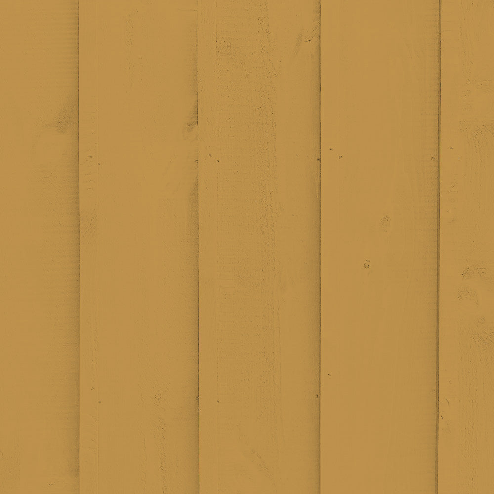 Ochre Yellow paint called Miles From Monday by COAT Paints the eco friendly paint company