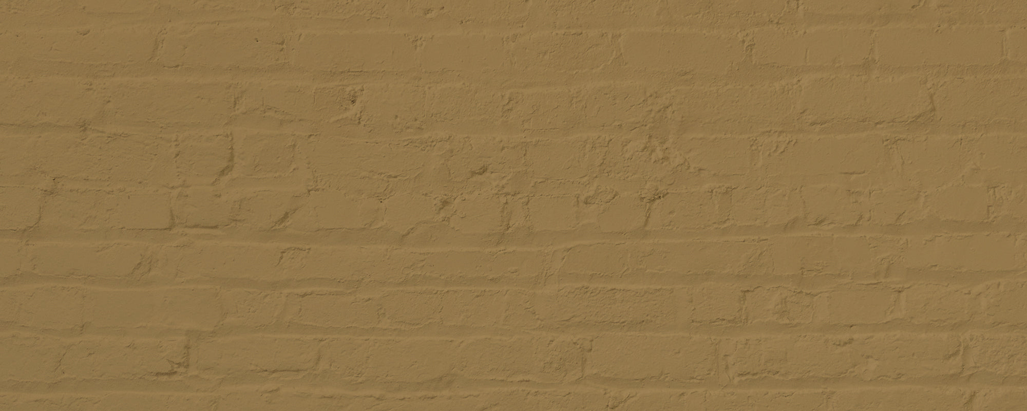 Ochre Yellow paint called Miles From Monday by COAT Paints the eco friendly paint company