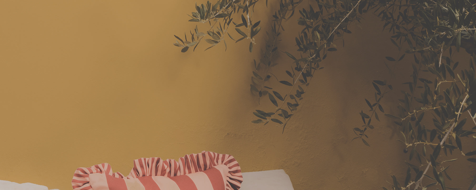 Ochre Yellow paint called Miles From Monday by COAT Paints the eco friendly paint company