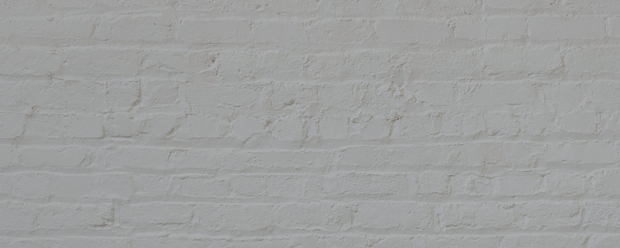 Clean Cool Grey paint called On Mute by COAT Paints the eco friendly paint company