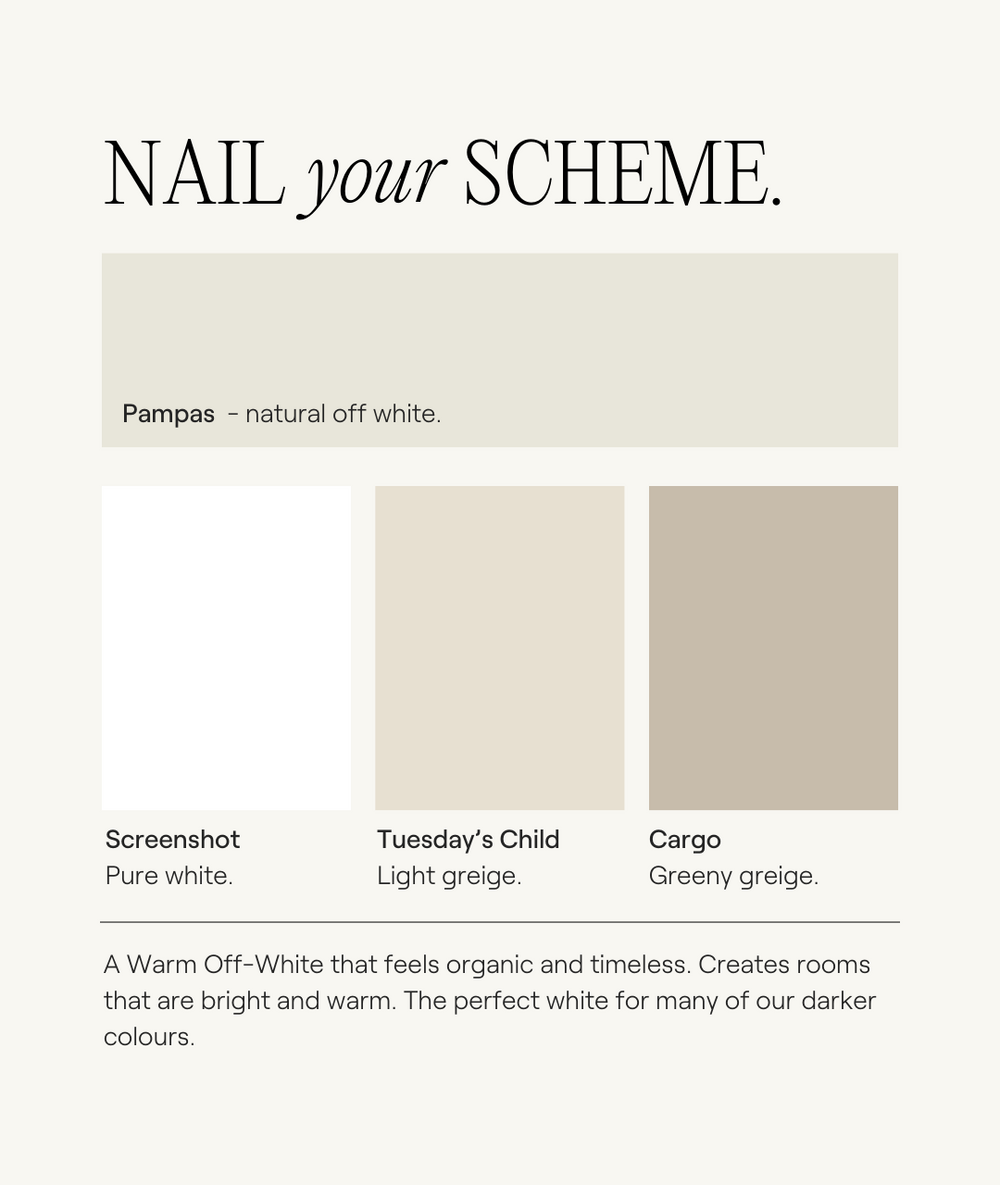 Buy Warm Off White Paint Flat Matt Pampas COAT Paints