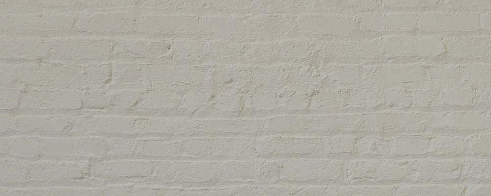 Natural Off White paint called Pampas by COAT Paints the eco friendly paint company