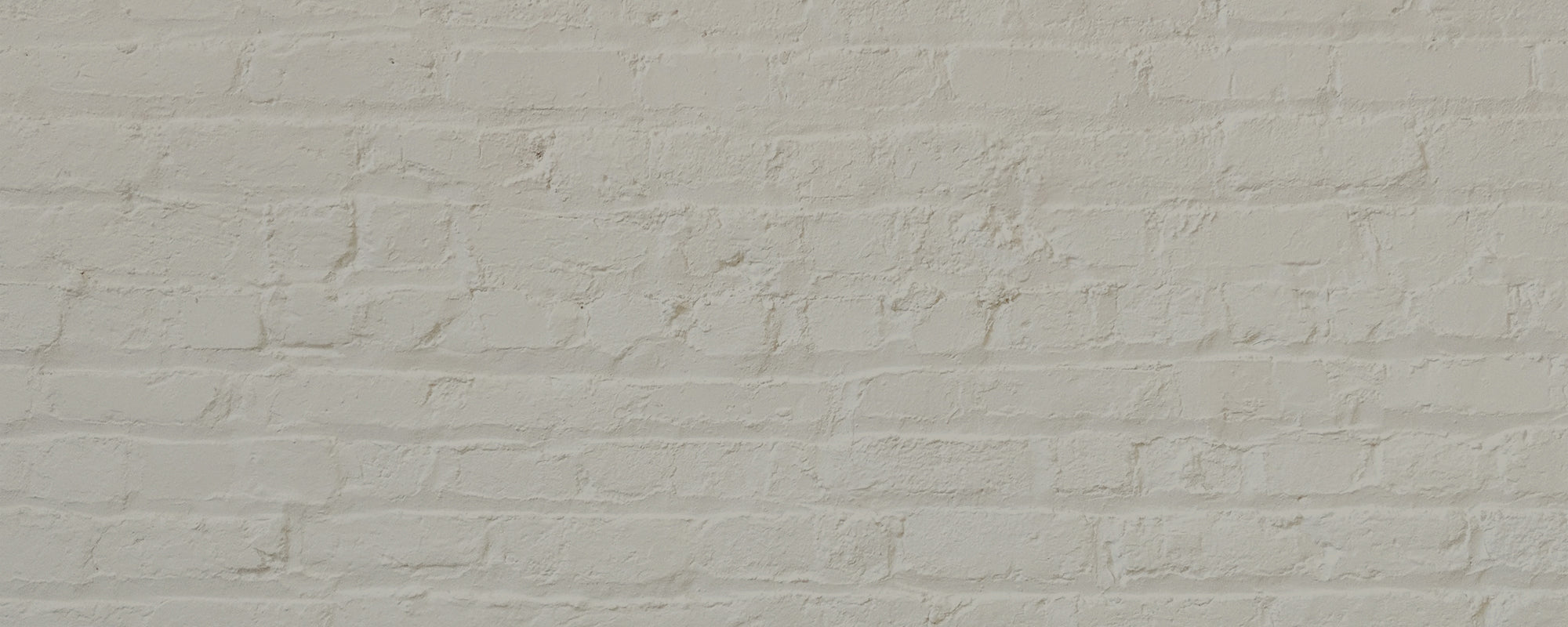 Natural Off White paint called Pampas by COAT Paints the eco friendly paint company