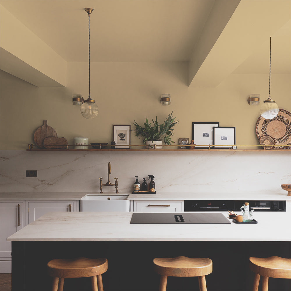 Bright Pale Yellow paint called Arctic Roll by COAT Paints the eco friendly paint company