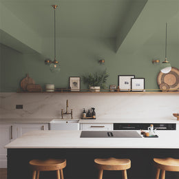 Green paint called East For Trees by COAT Paints the eco friendly paint company