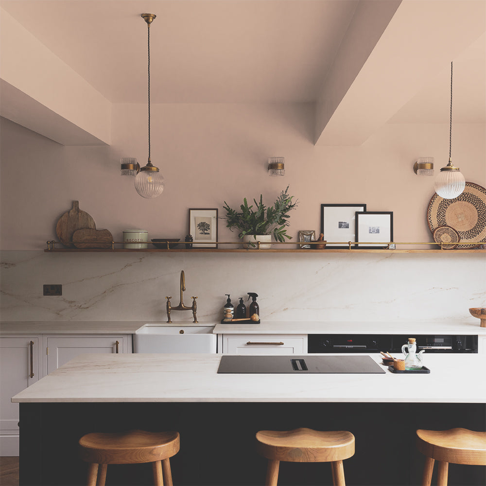 Dry Plaster Pink paint called Factor Fifty by COAT Paints the eco friendly paint company