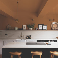 Rich Burnt Orange paint called Mezcal by COAT Paints the eco friendly paint company