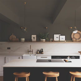 Rich Brown paint called Sheldon by COAT Paints the eco friendly paint company