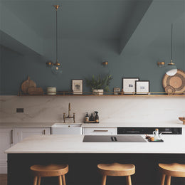 Dark Lead Grey paint called The Coal Drop by COAT Paints the eco friendly paint company