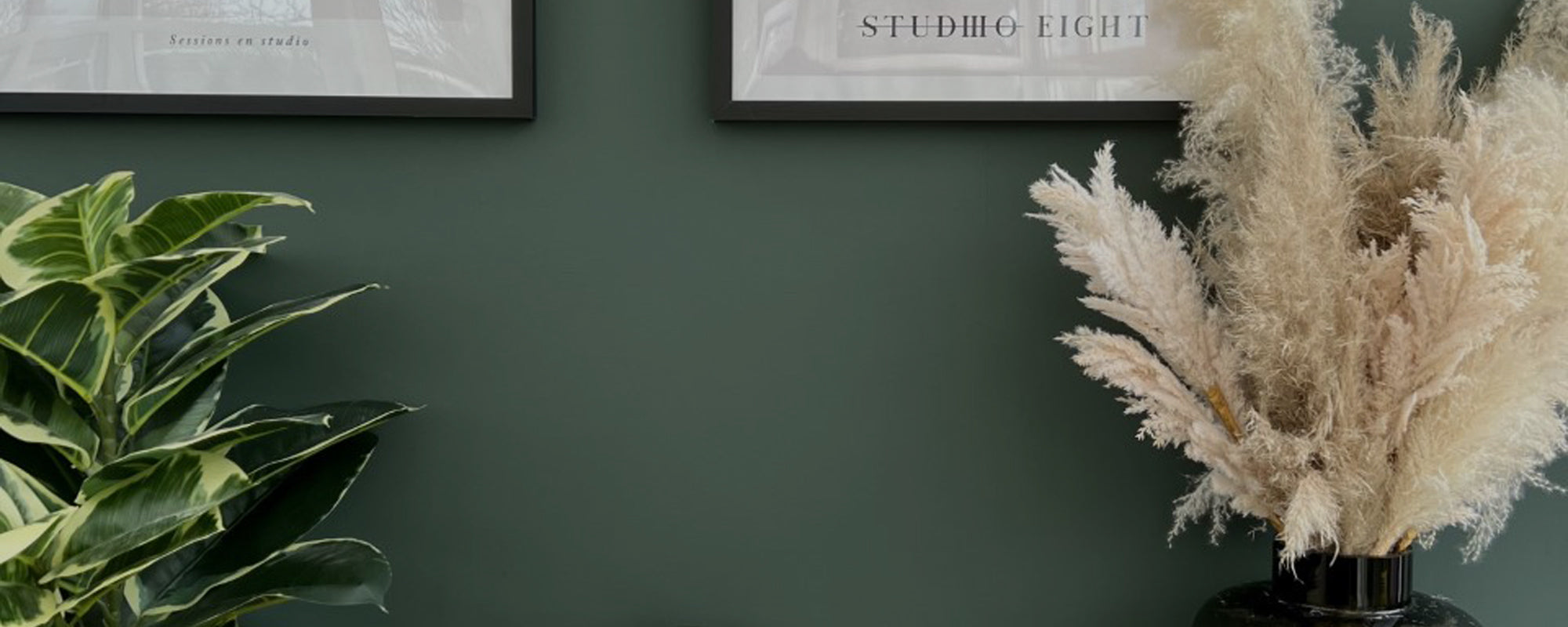 Dark Cool Green paint called Brewer by COAT Paints the eco friendly paint company