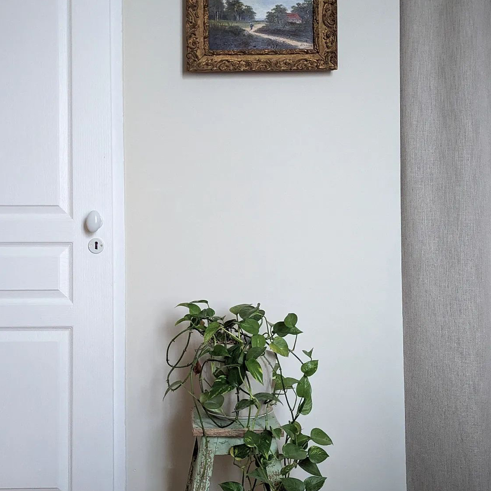 Light Greige paint called Tuesday's Child by COAT Paints the eco friendly paint company