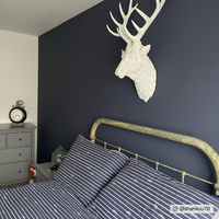 Dark Royal Blue paint called 2AM by COAT Paints the eco friendly paint company