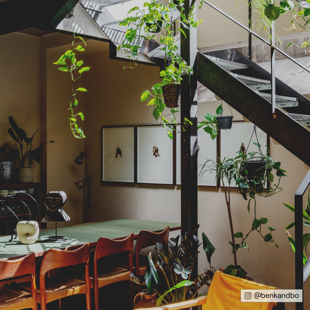 Biscuit Beige paint called Well Grounded by COAT Paints the eco friendly paint company