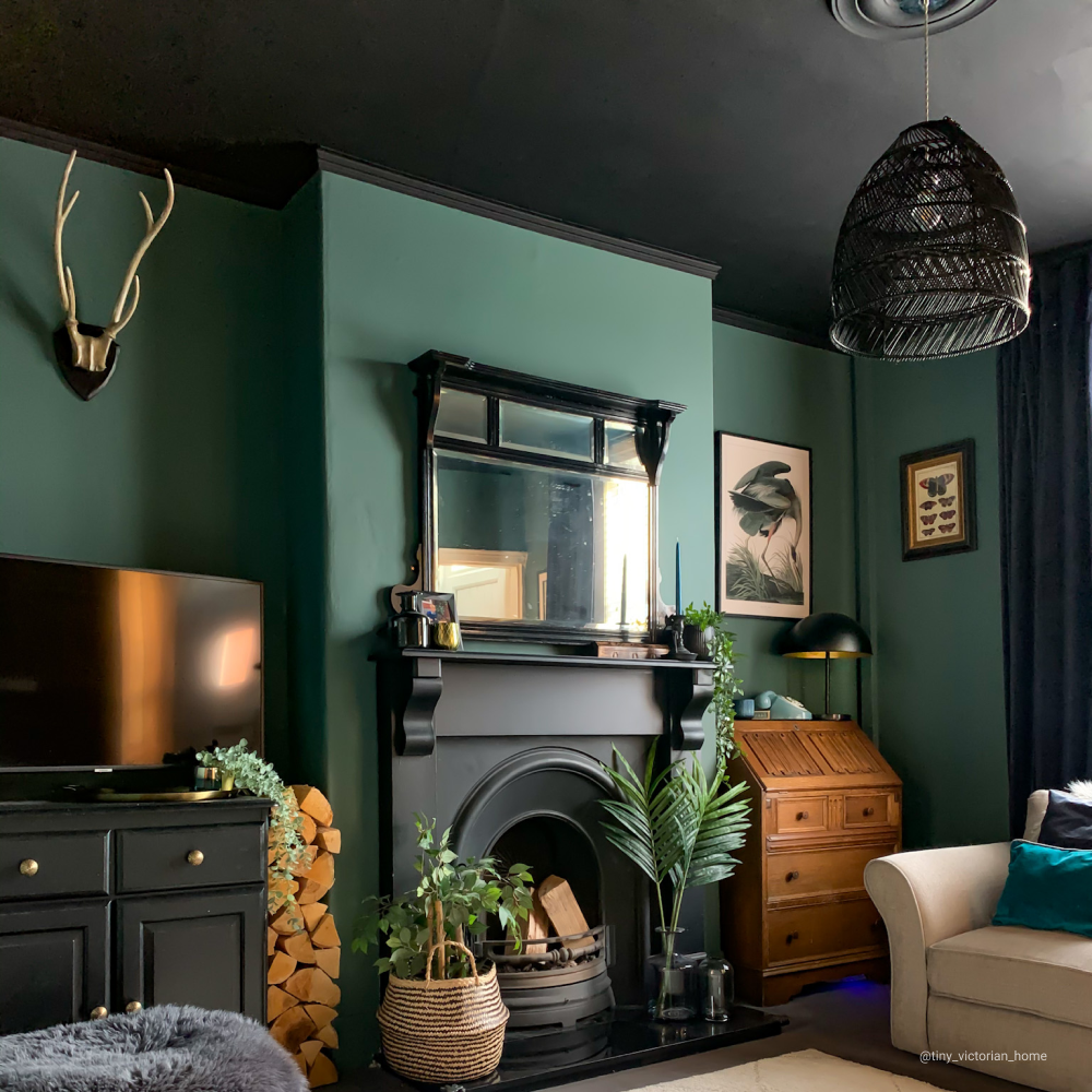 Dark Teal paint called Adulting by COAT Paints the eco friendly paint company