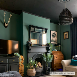 Dark Teal paint called Adulting by COAT Paints the eco friendly paint company