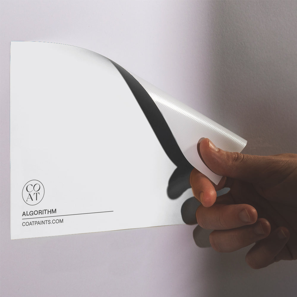 Light Cool Grey paint called Algorithm by COAT Paints the eco friendly paint company