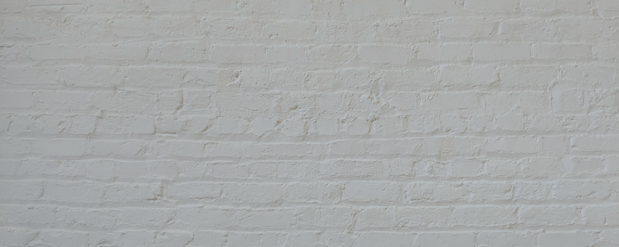 Medium warm grey paint called Are you still watching? by COAT Paints the eco friendly paint company