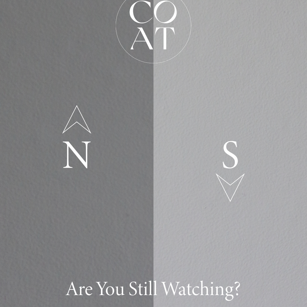 Medium warm grey paint called Are you still watching? by COAT Paints the eco friendly paint company