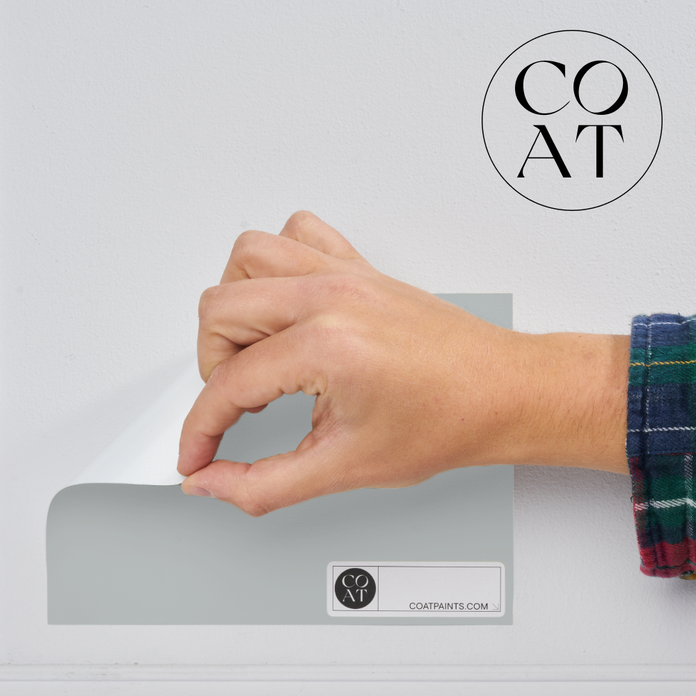 Medium warm grey paint called Are you still watching? by COAT Paints the eco friendly paint company