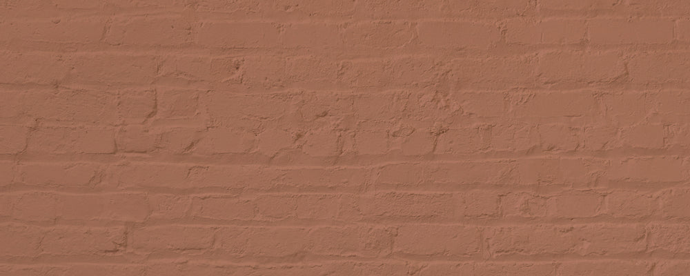 Soft Terracotta paint called Baked by COAT Paints the eco friendly paint company