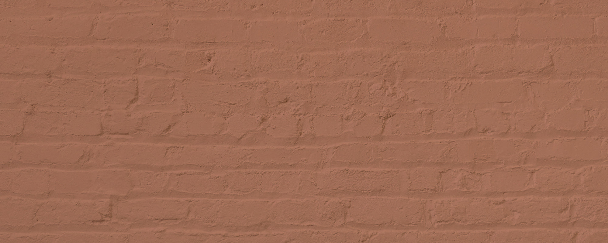 Soft Terracotta paint called Baked by COAT Paints the eco friendly paint company