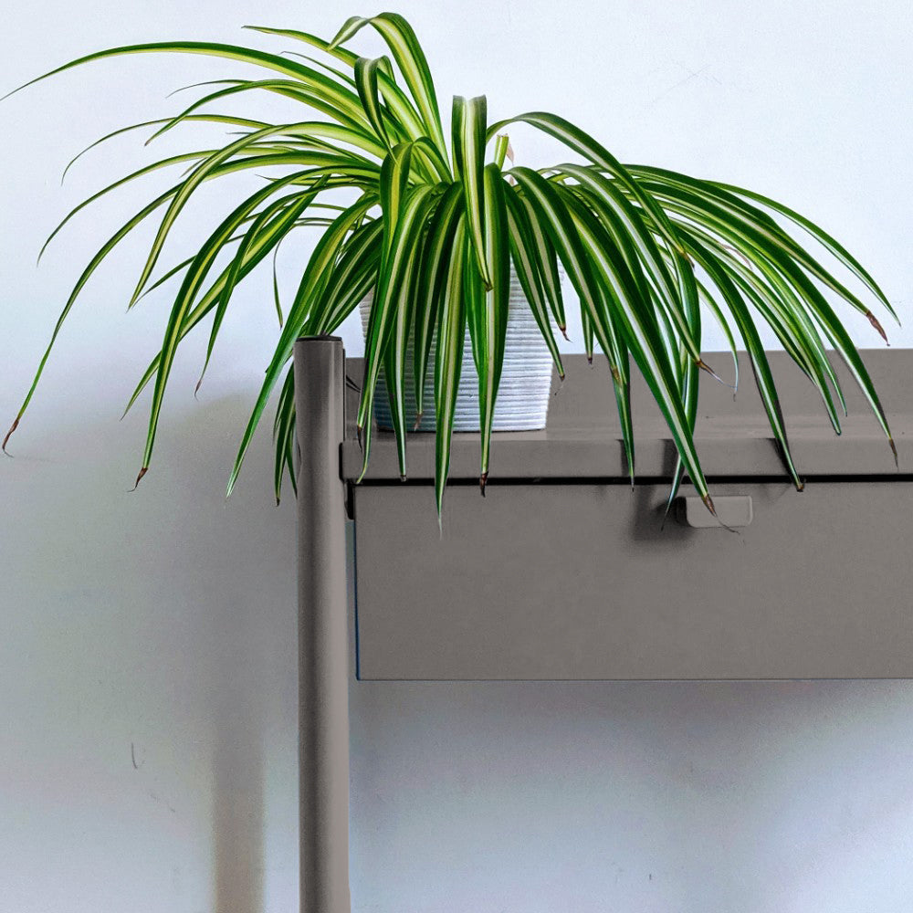 Warm Deep Grey paint called Big Timer by COAT Paints the eco friendly paint company