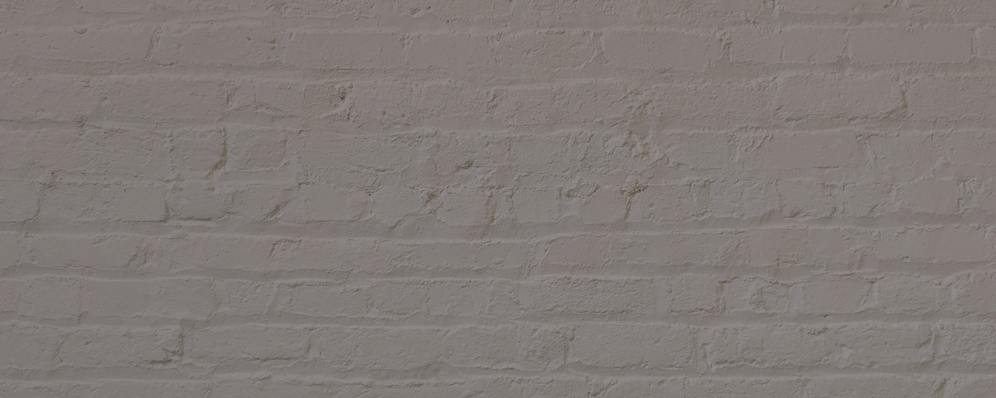 Warm Deep Grey paint called Big Timer by COAT Paints the eco friendly paint company