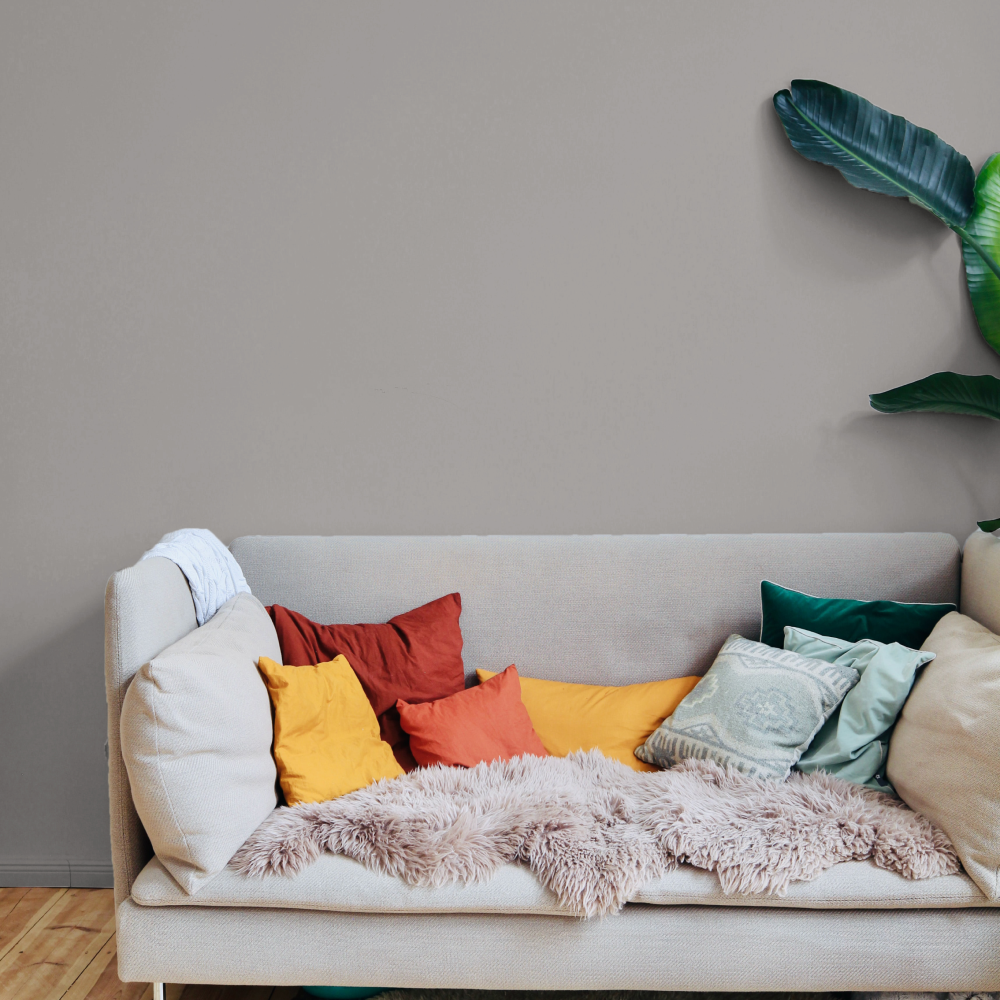 Warm Deep Grey paint called Big Timer by COAT Paints the eco friendly paint company