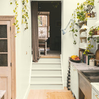 Light Green Beige paint called Bookstore by COAT Paints the eco friendly paint company