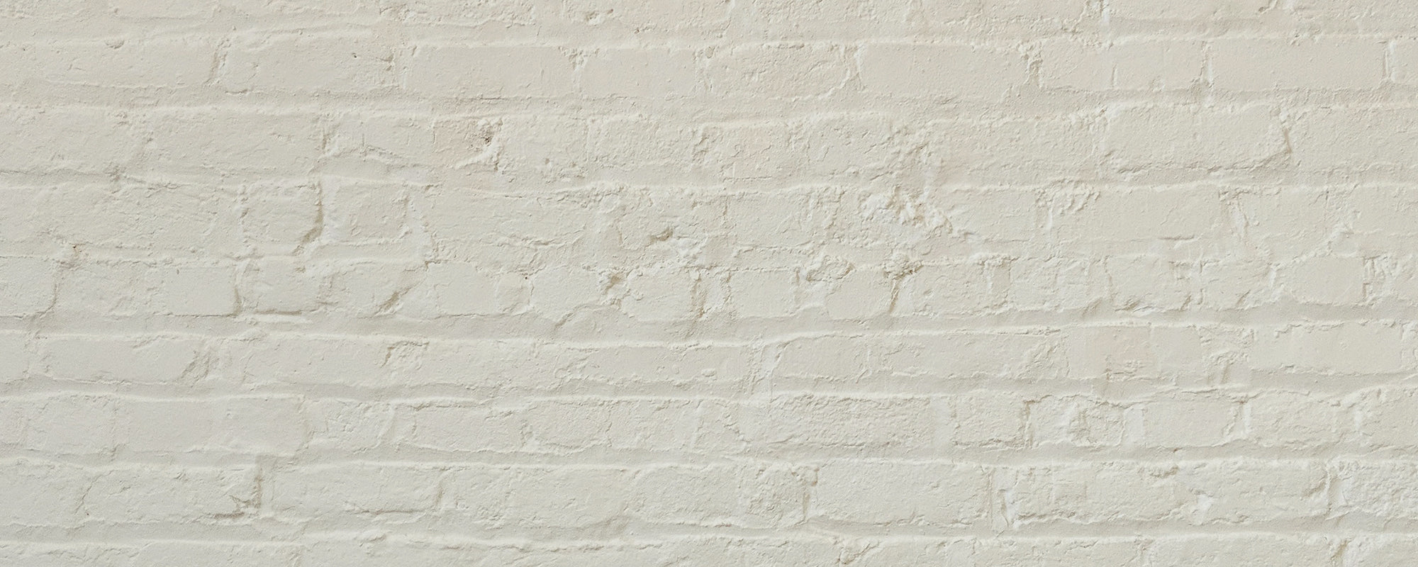 Light Green Beige paint called Bookstore by COAT Paints the eco friendly paint company