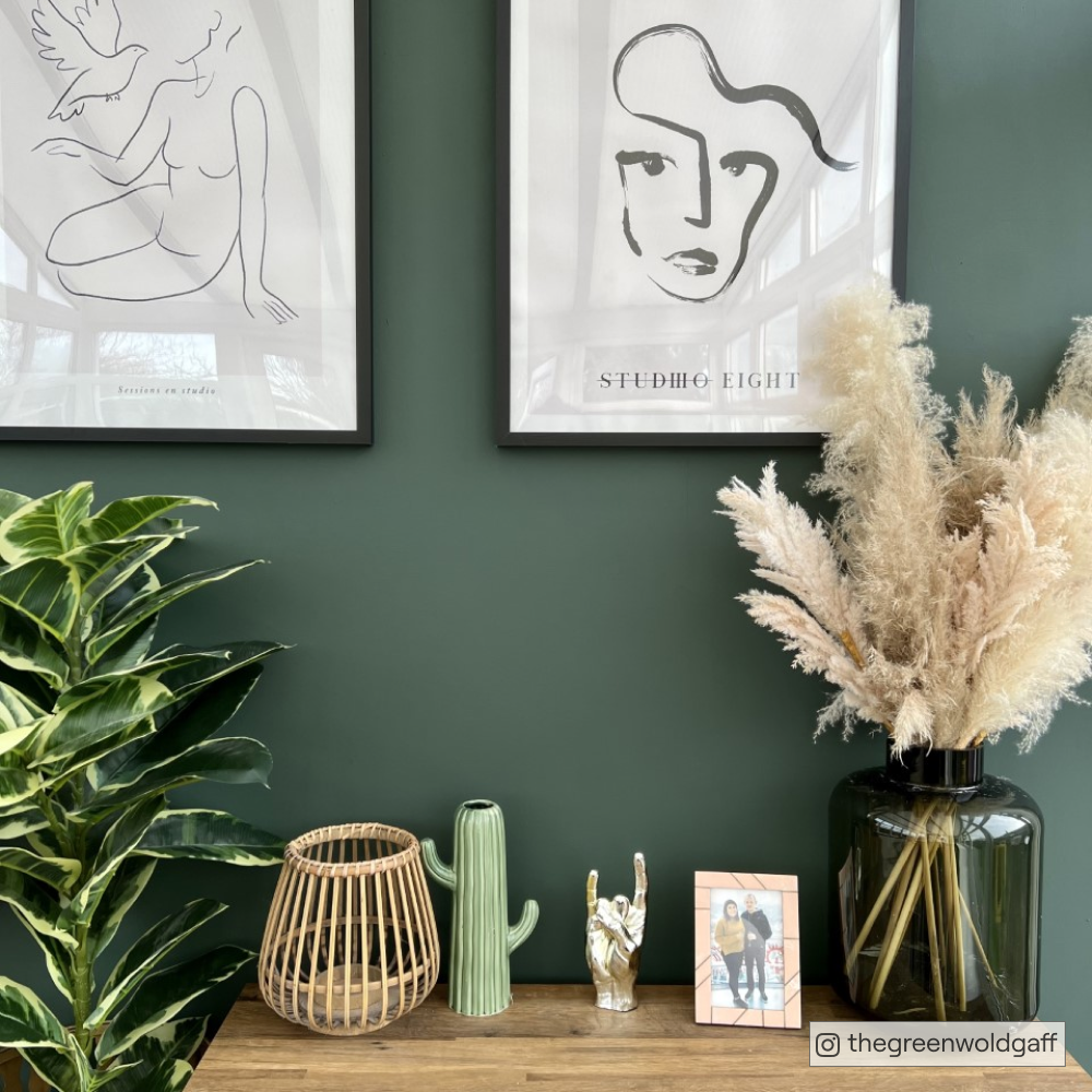 Dark Cool Green paint called Brewer by COAT Paints the eco friendly paint company