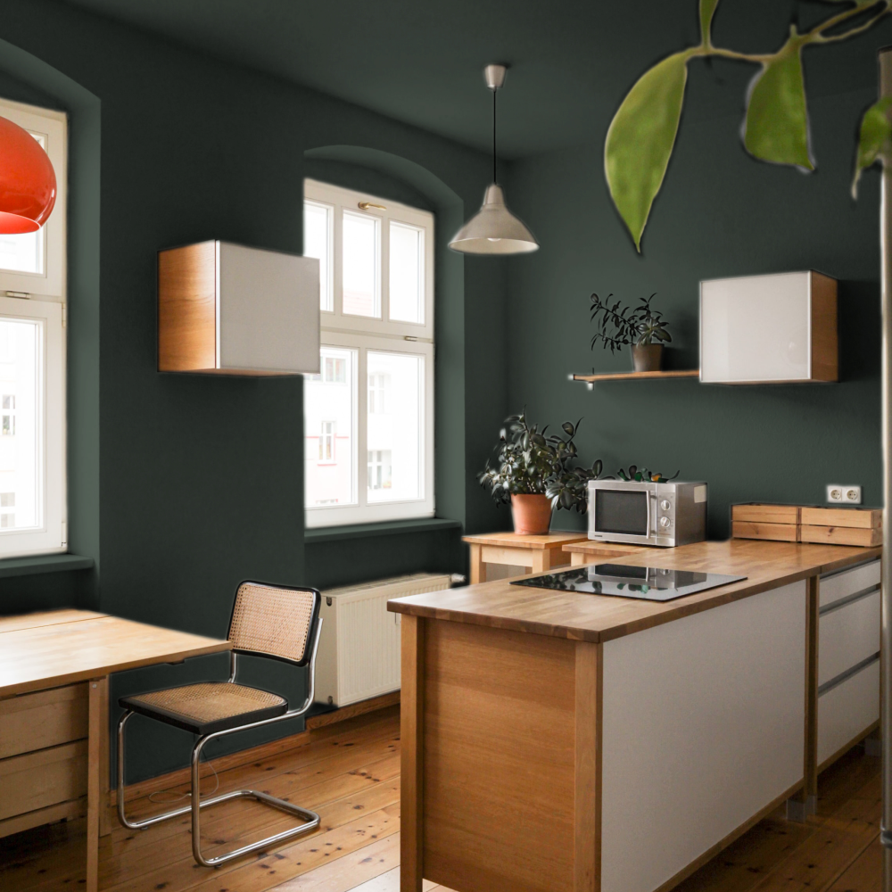 Dark Cool Green paint called Brewer by COAT Paints the eco friendly paint company