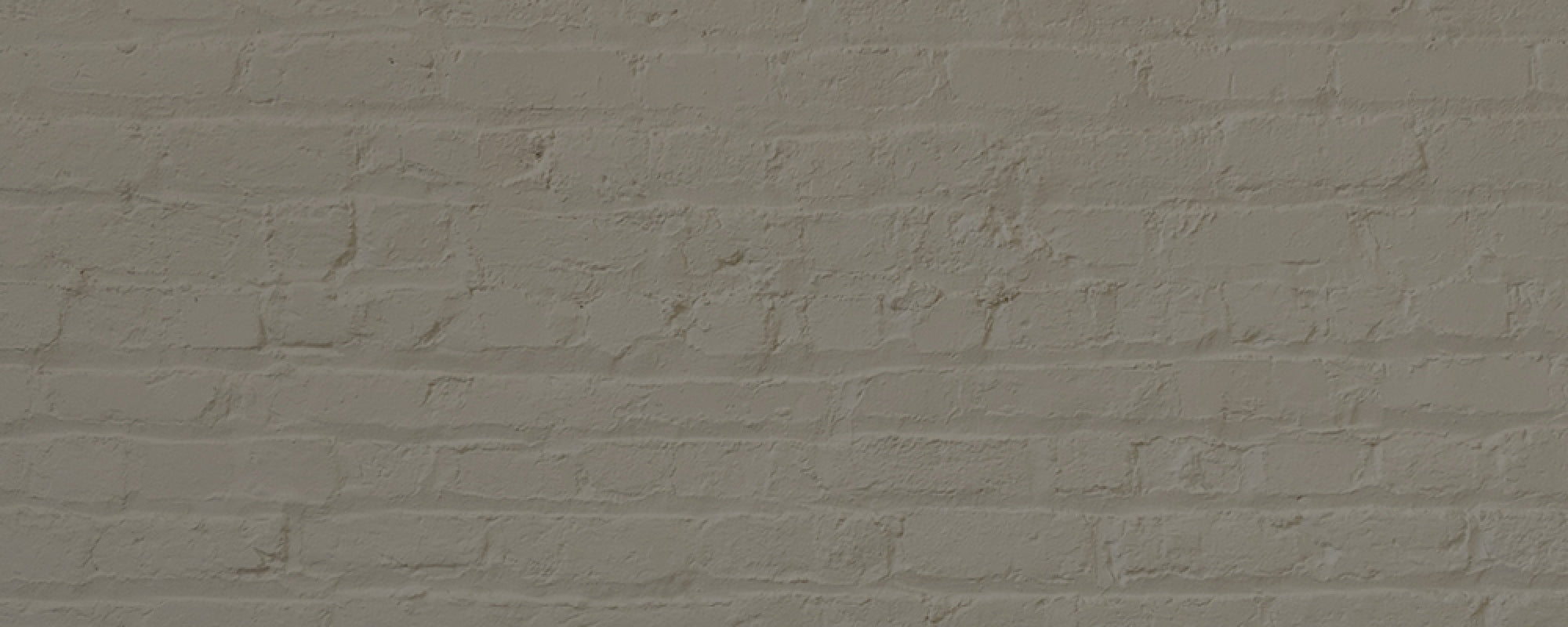 Deep Grey Green paint called Darlington by COAT Paints the eco friendly paint company